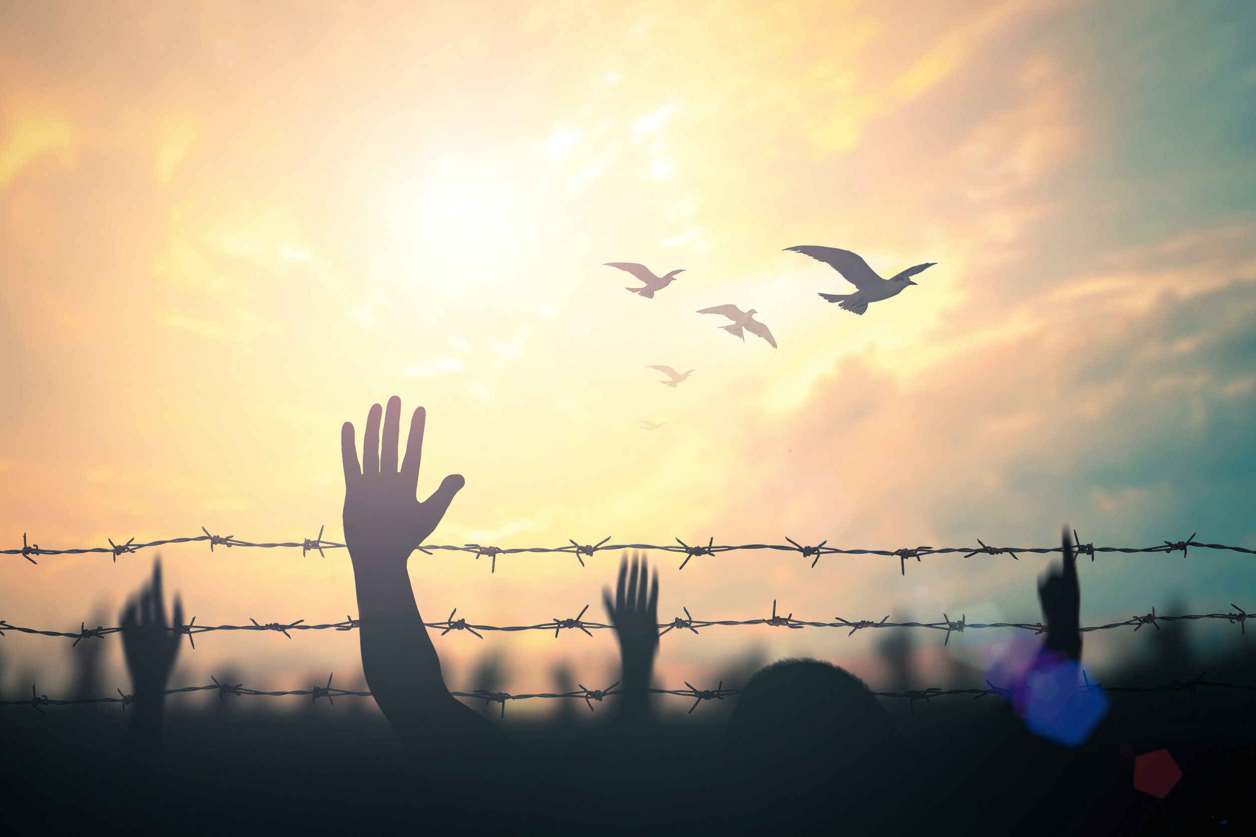 (UİH) International Humanitarian Law Training